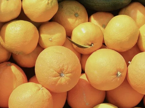 L'OLIVERAIE DU COUDON - PANIER MIX ( AVOCAT-PAMPLEMOUSSE-ORANGE-CLEMENTINE-CITRON-KIWI-CONFITURE -TARTINABLE)