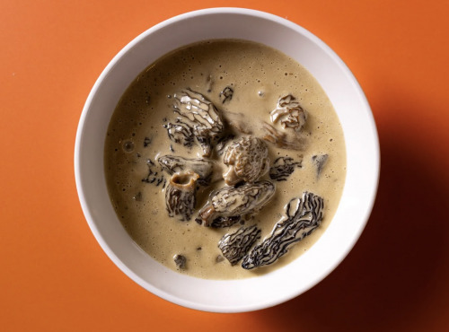 Groot La Tourte - Sauce Morille et vin jaune