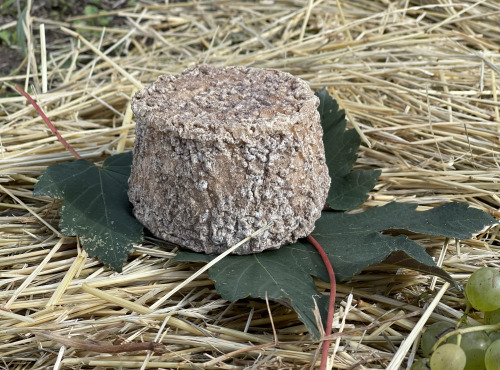 Fromagerie Maurice - Tommette affinée au lait cru