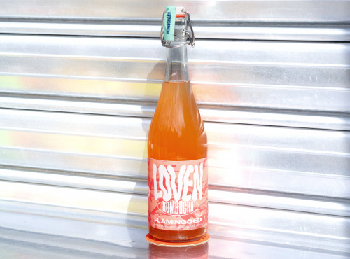 Brasserie L'Indispensable LOVEN Kombucha - Kombucha Flamingo 24 (Fraise, Pamplemousse, Verveine & Basilic) - 3x75cl