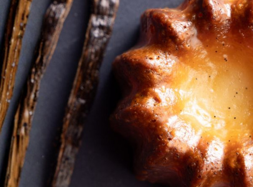 Canelés Louis SCHRAMM - Canelés Rhum Vanille x200