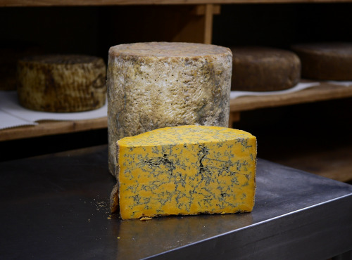 Alléosse Maitre Artisan Affineur Fromager - Shropshire affiné à la Présure végétale 500g