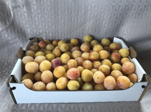 La Ferme des Prun'Elles - Mirabelles 8 kg