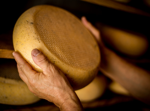 Le Moulin Gourmand - Fromage De Bethmale 3 Laits : "vache/brebis/chèvre"
