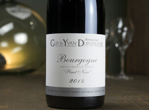 Dyvin : domaine Guy et Yvan Dufouleur - Domaine Guy & Yvan Dufouleur - Bourgogne Pinot Noir - Lot De 3 Bouteilles