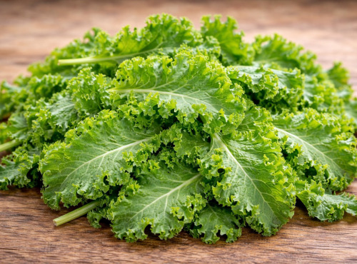 Nature et Saveurs - Ferme Aquaponique et Permacole Astérienne - Jeunes feuilles de kale vert — tendres et croquantes