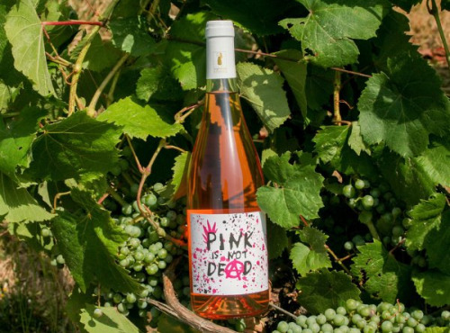 Domaine la Paganie - Vin Rosé Bio - Pink Is Not Dead - 1 bouteille