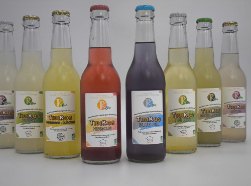 TK Bio - The Kefir et Kombucha Compagnie - TibiKos Pomme BIO (Kéfir de fruits) – 12x33cl