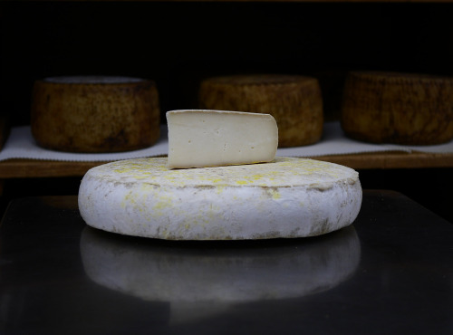 Alléosse Maitre Artisan Affineur Fromager - Fouchtra de chèvre d'Auvergne