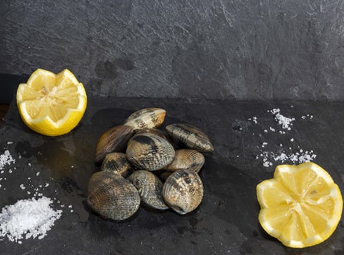 Fine de Cancale - Palourdes Grosses du Mont Saint-Michel - 500g