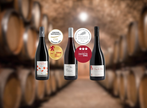 Domaine de la Chopinière du Roy - Coffret cadeau vins primés Or/Argent - bouteilles de vins rouges Saint Nicolas de Bourgueil - 3 x 75 cl