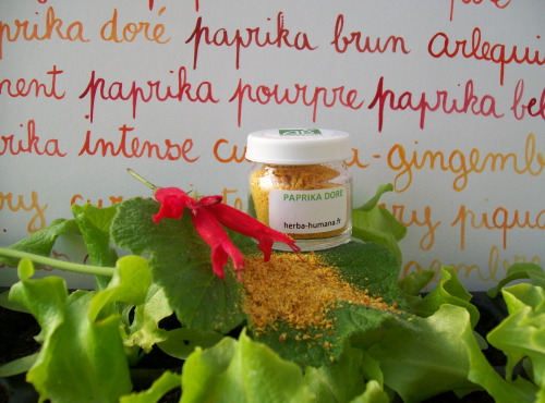 HERBA HUMANA - Paprika Doré Bio Cultivé En France 3g