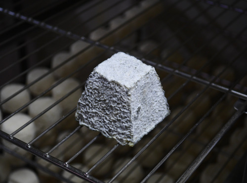 Alléosse Maitre Artisan Affineur Fromager - Valençay AOP au lait cru