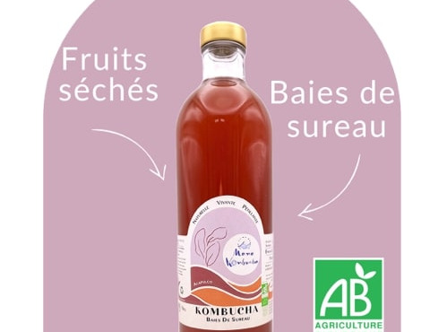 Mama Kombucha - Kombucha Baies de sureau, Fruits séchés - Acapulco