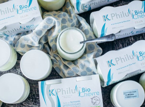 Laiterie du Climont - K-Philus - K-Philus Offre Pro : 36 Lots De K-Philus Chèvre (72 pots)