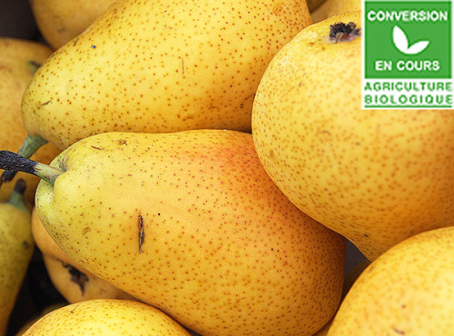 Mon Petit Producteur - Poire Guyot