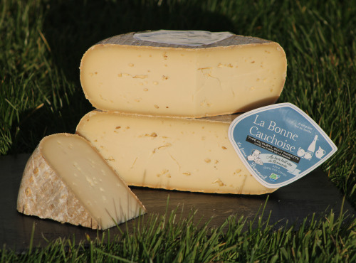Ferme Dumesnil - Bonne Cauchoise : Tomme Fermière Normande