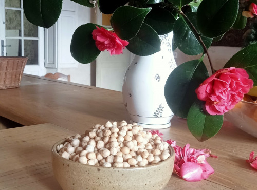 Domaine des Alliers -  Bœuf d'exception - Pois chiches BIO 2 kg