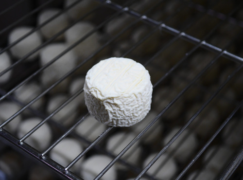 Alléosse Maitre Artisan Affineur Fromager - Cabri Blanc au lait cru