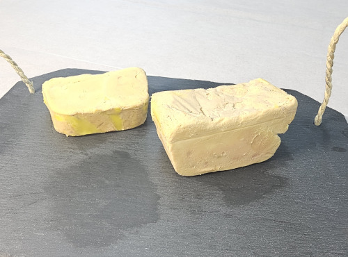 Ferme de Montchervet - Foie gras de canard mi cuit