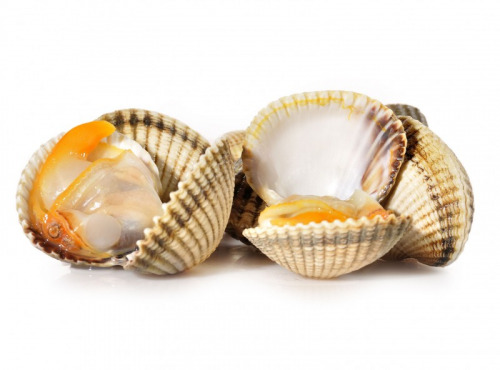 Luximer - Coques De Bretagne - Lot De 1kg