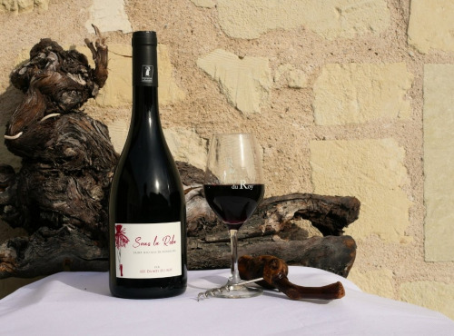 Domaine de la Chopinière du Roy - Vin rouge Saint Nicolas de Bourgueil - Cuvée Sous la Robe 2024 - 6x75cl