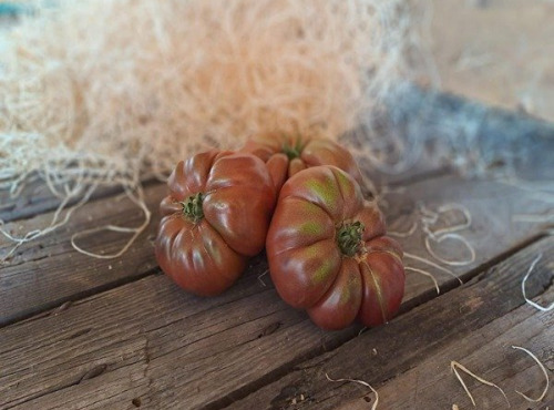 Les Jardins de Gérard - Tomate Noire de Crimée Bio - 1 kg