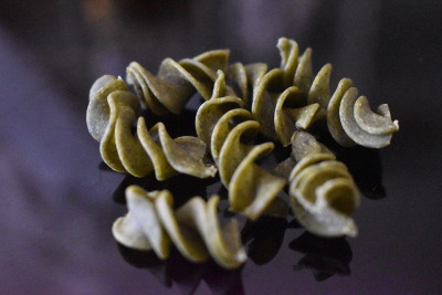 Adal Terra - Pâtes Artisanales Bio Tire-bouchon féveroles Ail Des Ours 250g