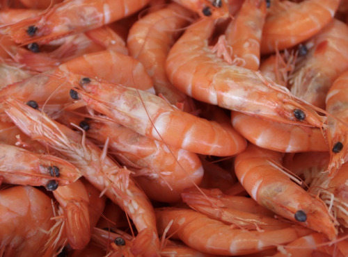 La Paysanne des Mers - Crevettes cuites bio 100/120 - 300g