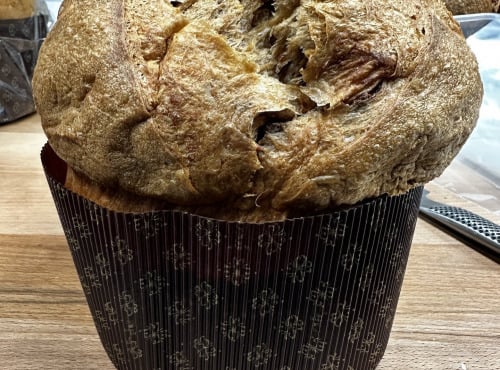 Délices de Flore - PANETTONE CHOCOLAT VALRHONA ET GIANDUJA