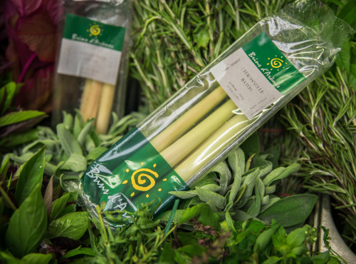 Maison Argentain - Citronnelle Baton - 70g