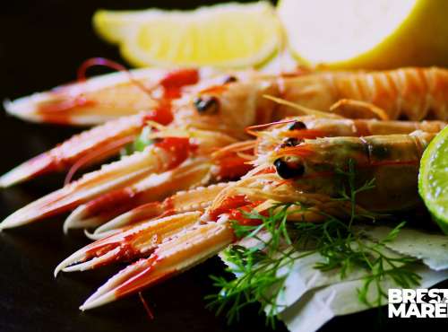 Brest Marée - Langoustines cuites - 500g
