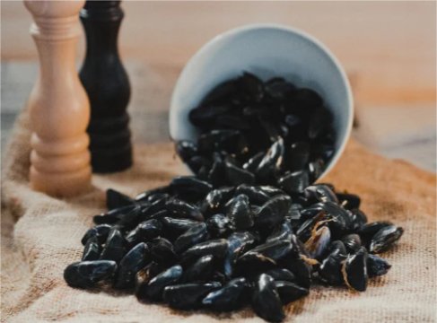 Thalassa Tradition - Moules de Bouchot - 5kg