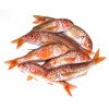Poissonnerie La Piriacaise - Rouget friture PROMO 1 kilos + 1 GRATUIT