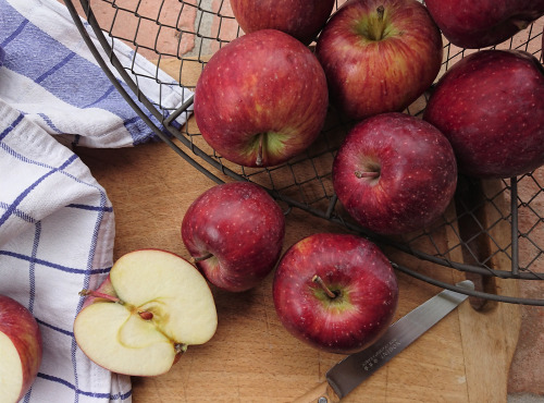 Le Verger de Crigne - Pommes Top Red Bio (moyen Calibre) - 10kg