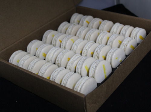 Les Macarondises - 35 Macarons Camembert