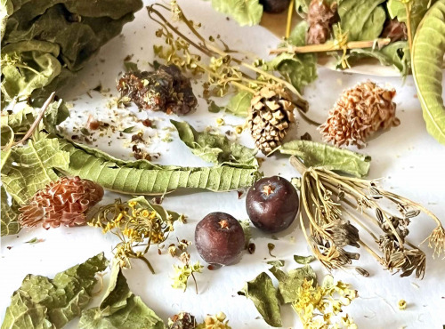 LE JARDIN E(S)T LA RECETTE - Epices pour boissons de fête