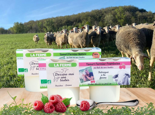Dessine moi une brebis - Duo Yaourt Brebis Nature et Framboise 4x125g