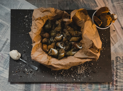 Thalassa Tradition - Bulots Vivants Normandie - 6kg