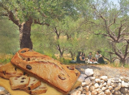 La BRIQUETTERIE - Pain Olive Kalamata - Grande Brique