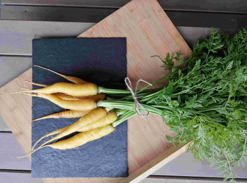 Ferme de Carcouet - Carottes Jaunes Bio - 500 g