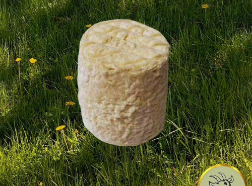 Fromagerie des Gors - fromages de chèvre très affinés