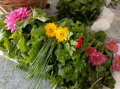 Rébecca les Jolies Fleurs - Salade royale