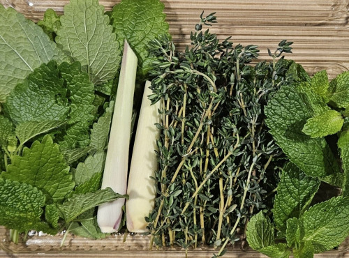 Midiflore - Tisane fraiche Hiver 40g