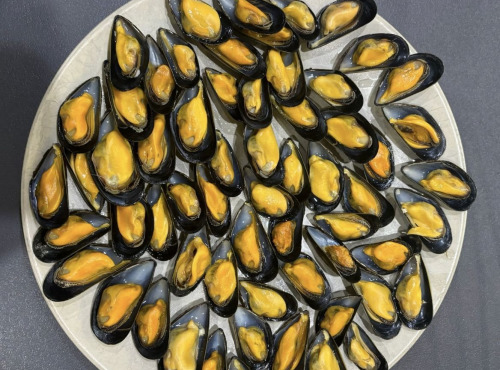 Opale Vivier - Moules de cordes 1kg