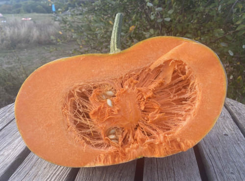 Ferme Sinsac - Courge musquée de provence en tranche de 1kg