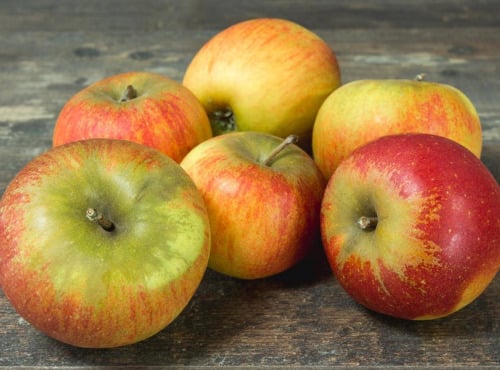 Les Jardins de Gérard - Pomme Jonagored Bio - 1kg