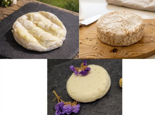 Ferme de l'Elanion - Lot 3 Palets 230g