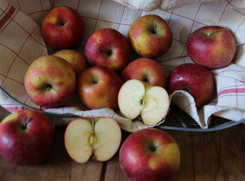 Le Verger de Crigne - Pommes Dalinette Bio (petit Calibre) - 10kg