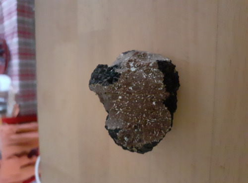 Les Vergers de la Vautée - Truffe de Bourgogne fraîche